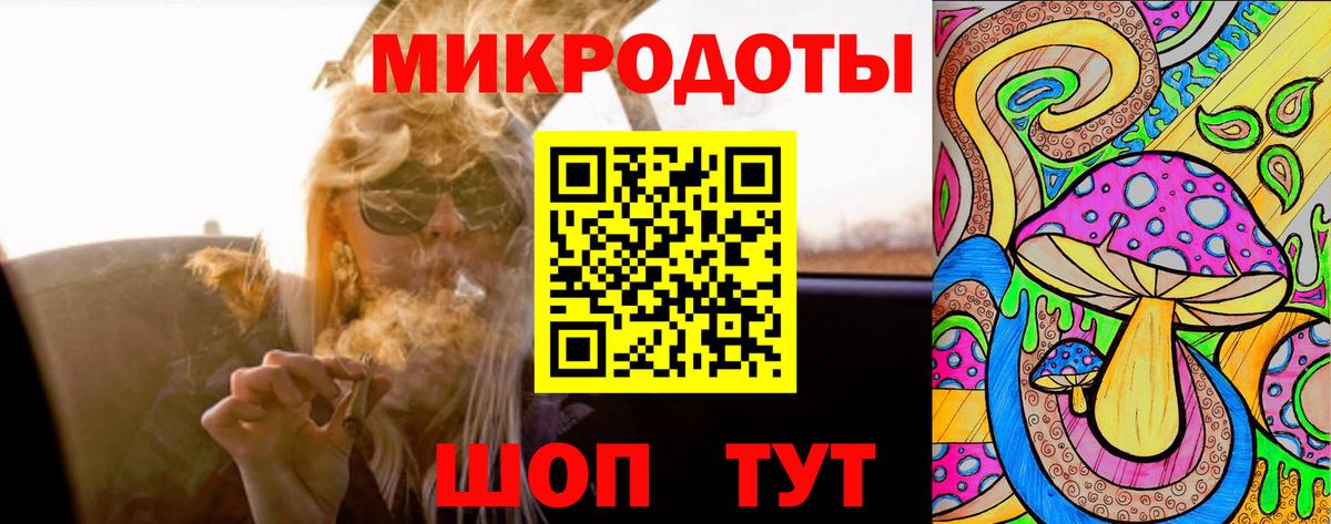 Псилоцибиновые грибы Psilocybine cubensis Кузнецк